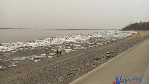 Ледоход на амуре в 2024 году