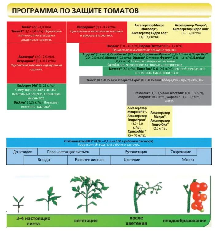 схема удобрения томатов в открытом грунте. система защиты сахарной свеклы от вредителей. обработка томатов система защиты. программа защиты растений. микроудобрения для пшеницы.