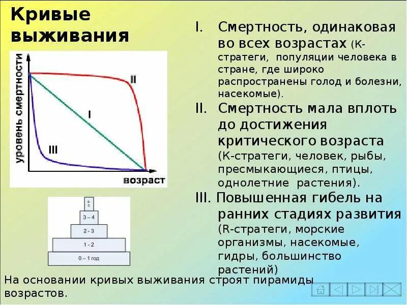 Динамика популяции. Динамика численности популяции. Параметры динамики популяции. Динамика популяций это в экологии.