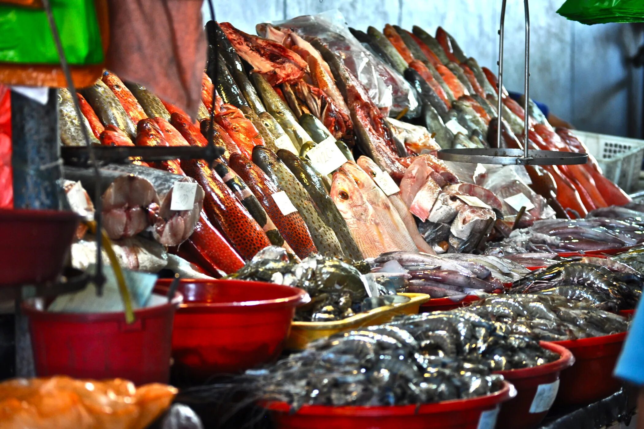 Где рыбный рынок на волне. Рыбный рынок. Рыба на рынке. Рынок рыбы и морепродуктов. Рыбный рынок Филиппины.