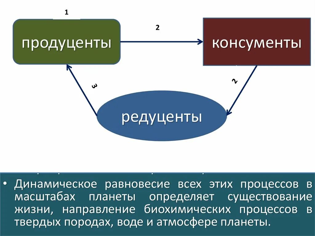 Функции редуцентов. Роль продуцентов в круговороте углерода. Какова роль редуцентов в круговороте углерода. Роль консументов в цикле углерода.