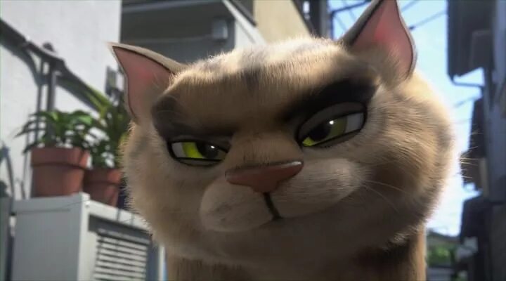 Жил был кот на русском языке. Жил был кот. жил-был кот (2016).