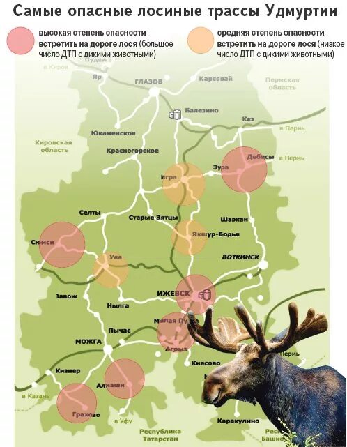 Где находится лось. Карта животных Удмуртии. Животные Удмуртии на карте. Лось на карте. Карта миграции лосей.