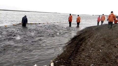 Река сторожа