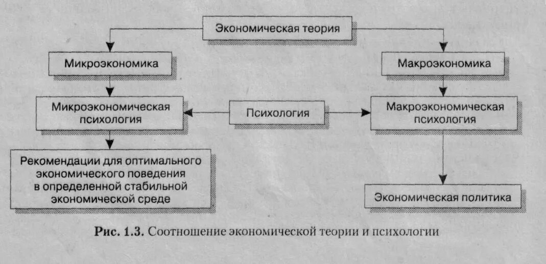 Экономист психолог. Развитие экономической психологии. Развитие экономической психологии. Взаимосвязь экономики и психологии. Экономика как наука о закономерностях.
