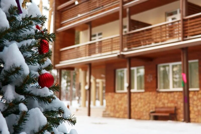 Загородные отели нижний. Отель Чайка Нижегородская область зимой. Загородные отели в Подмосковье. Загородный отель Чайка новый год. Отель санатория Чувашия зима.