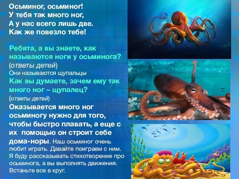 Осьминог текст. Осьминог для презентации. Осьминог описание для детей. Рассказ про осьминога. Презентация осьминог для дошкольников.