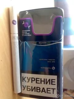 Ротманс фиолетовый