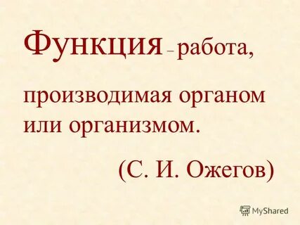 Окружающий мир надежная защита организма 3 класс