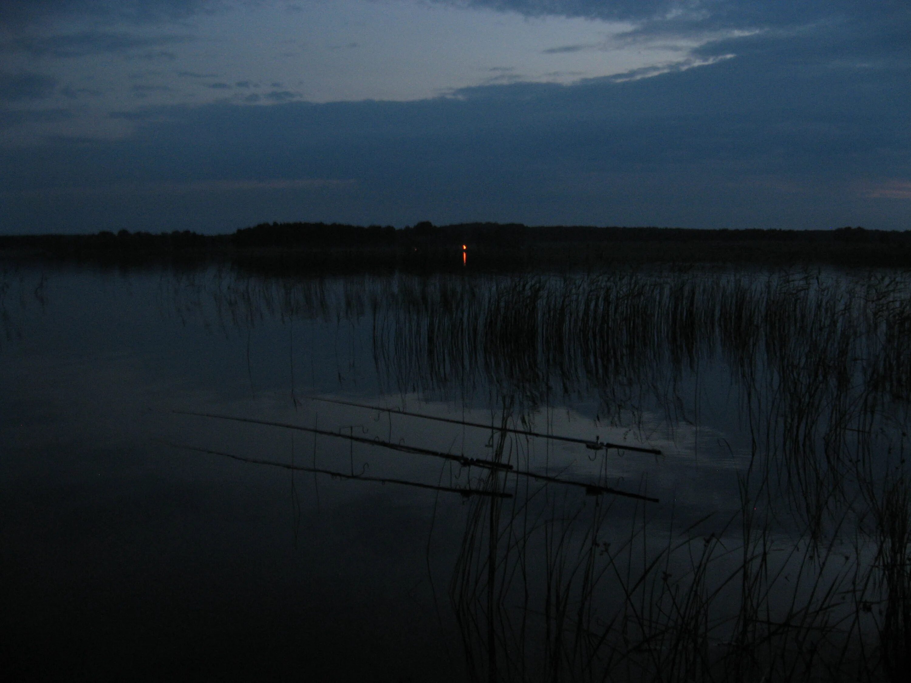 Можно ли ловить ночью. Можно ли ловить ночью. Вечерняя рыбалка. Рыбалка ночью. Ночная рыбалка.