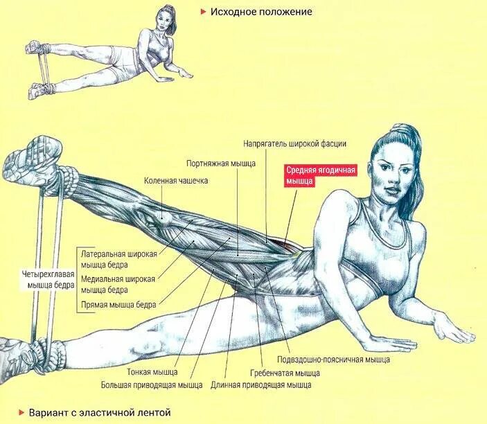 Как накачать внутренние мышцы. Отведение ноги в сторону мышцы. Отведение ноги в сторону в тренажере на ягодицы. Латеральное отведение бедра. Упражнения отведение ног лёжа.