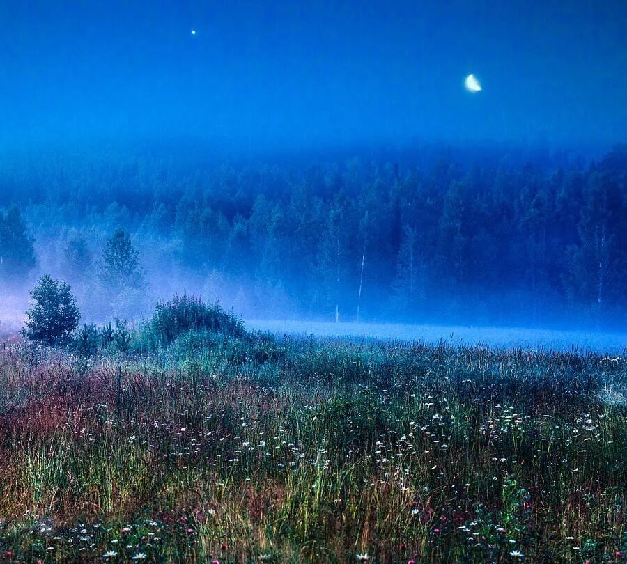 Вечера синь. Синий вечер. Синий туман. Туман вечером. Летняя ночь.