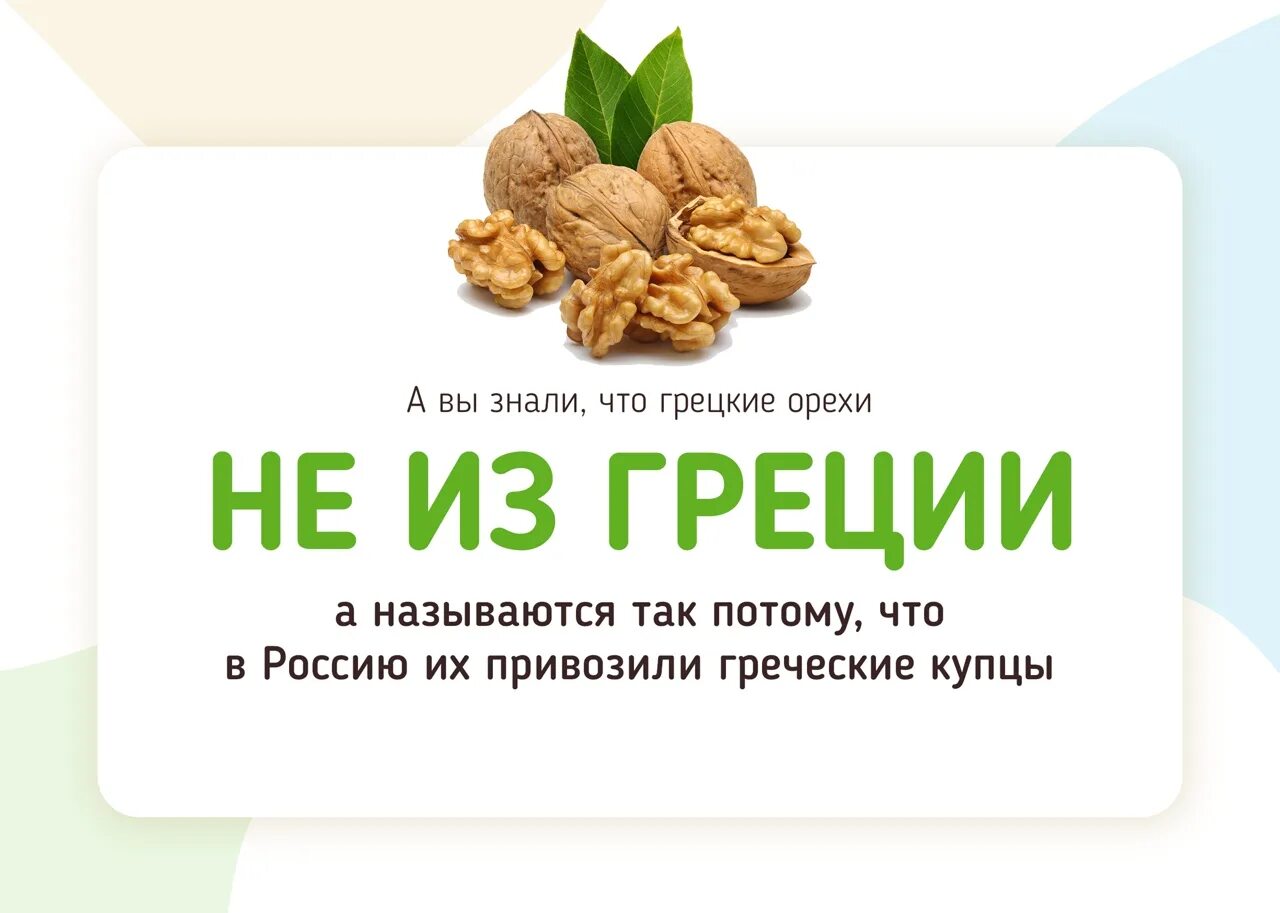 Почему грецкий орех называется грецким. Как активировать грецкий орех правильно. алкоголь со вкусом грецкого ореха название. кто привез в грецию грецкие орехи ?.