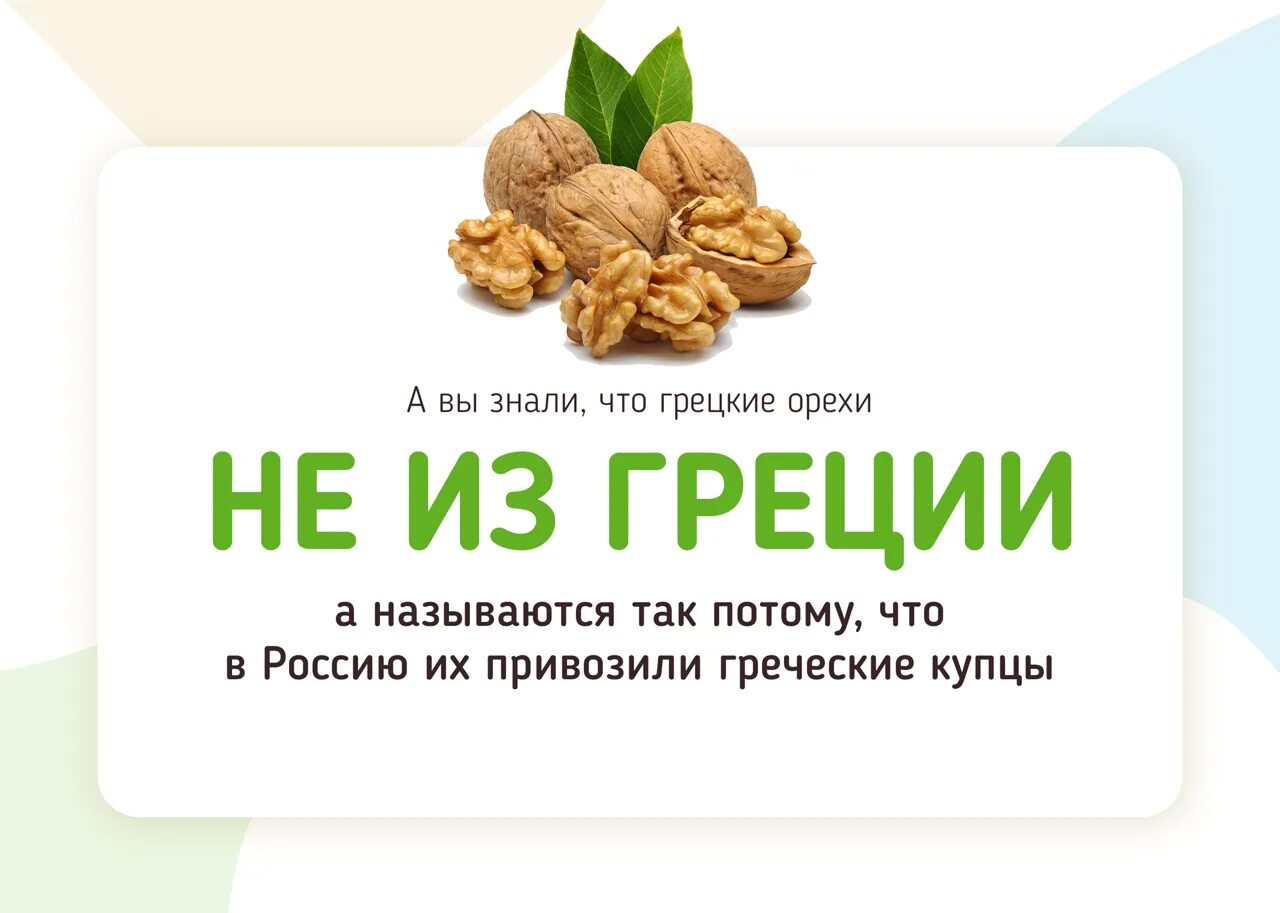 Название орехов. День грецкого ореха. Грецкий орех в Греции. Название грецких орехов.