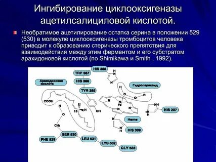 Гку цогу