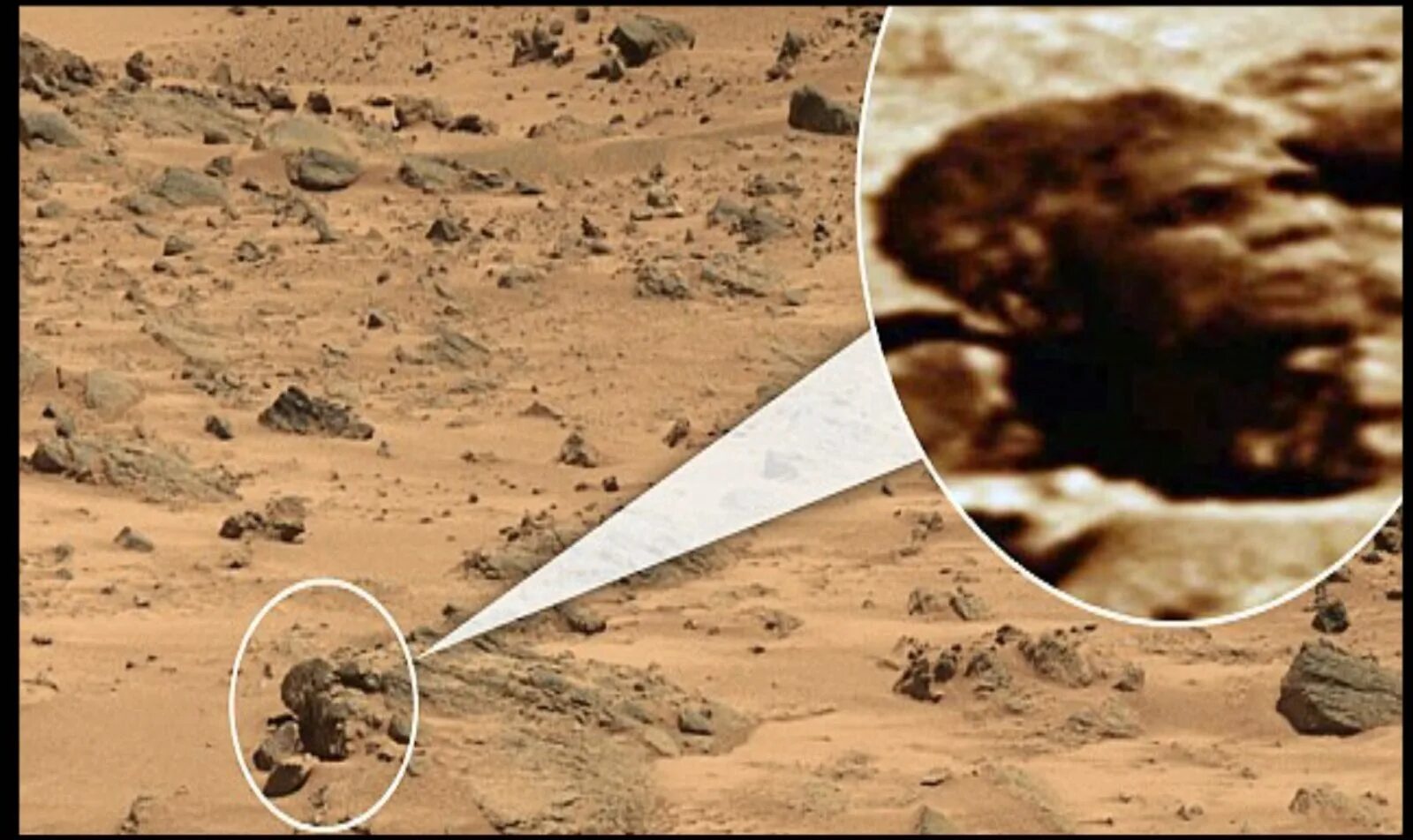 Обитаемый марс. Аммонит на марсе. Марс есть ли жизнь на марсе. Марс планета жизнь. Снимки людей на марсе.