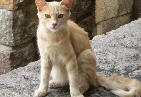 Жігіт жұлқынып, қарынға силайды.