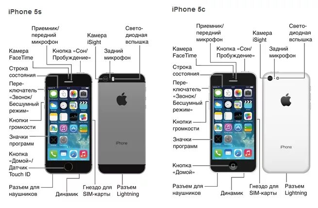 Руководство по айфон s5. Строение айфона. Составные части айфона. Детали смартфона названия. Как называется функция в телефоне