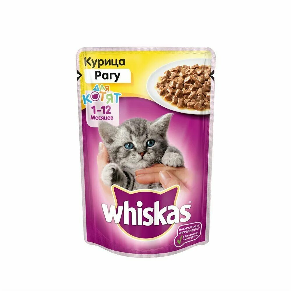 Purina one для кошек пауч. Мокрый корм. Корм для собак бетховен. Шеба пауч. Шеба плежер телятина/язык 24*85.