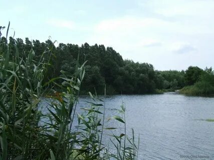 Река конка