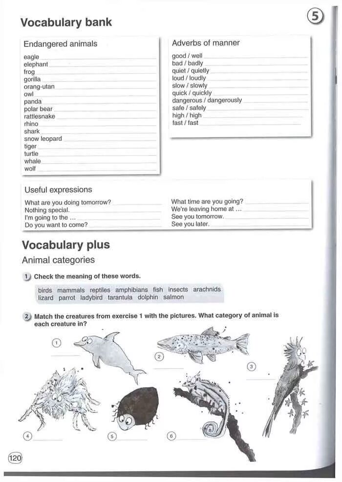 Match the words endangered. Английский язык 6 класс рабочая тетрадь Комарова. Рабочая тетрадь по английскому языку 7 класс Комарова Ларионова. Рабочая тетрадь по английскому языку 7 класс Комарова. Тетрадь по английскому языку 7 класс Комарова Ларионова.