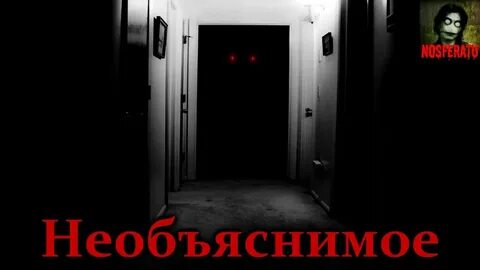 Бесплатные истории на ночь слушать