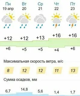 Погода в губкине на сегодня точный прогноз