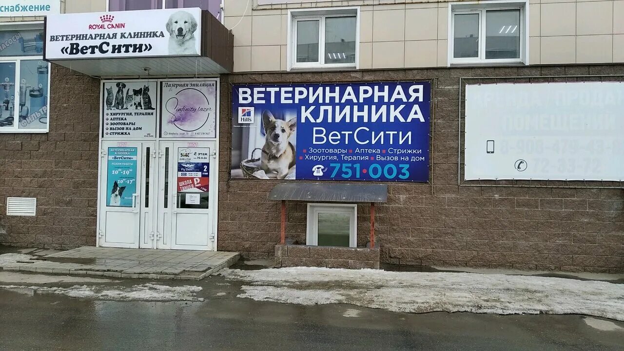 Ветклиники ульяновск телефон