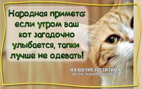 Она на первой не примет
