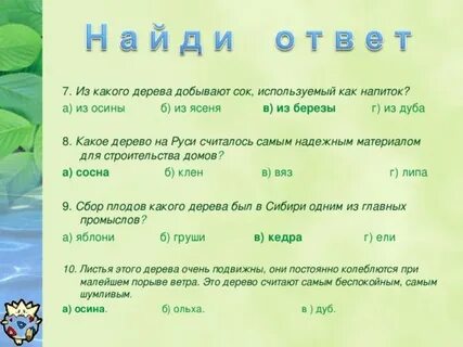 Соком какое число