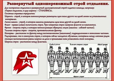 Виды команд в строю
