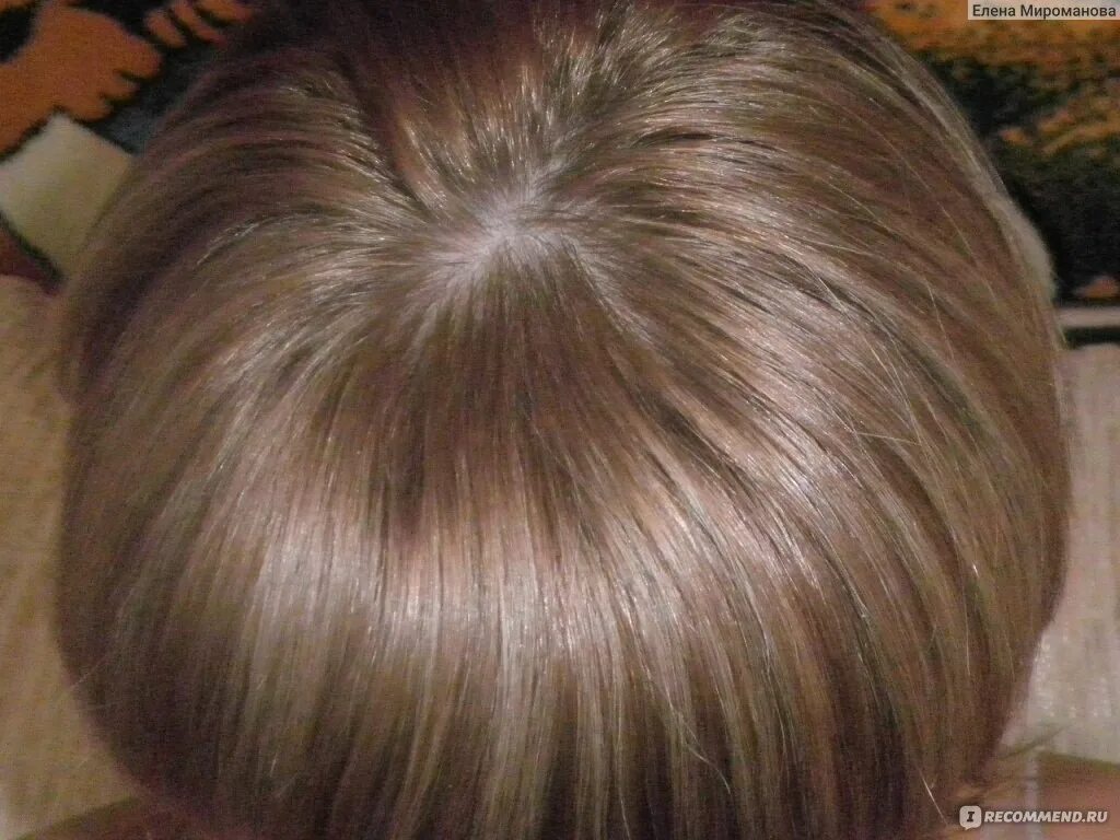 Капус лесной орех 8.8 фото