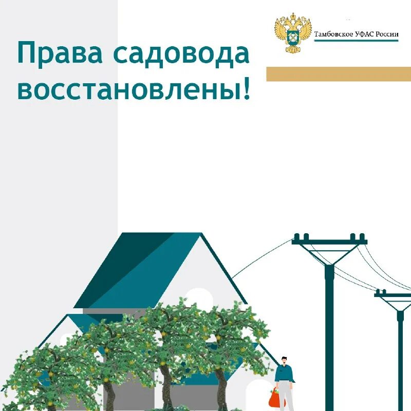 снт карикатура. право пользования. обязанности председателя и правления снт. компетенции общего собрания кооператива. право садовод.