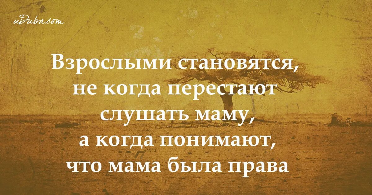 Цитаты про родителей. Мудрые слова о родителях. Умные мысли про родителей. Умные слова о родителях. Слова плохой матери