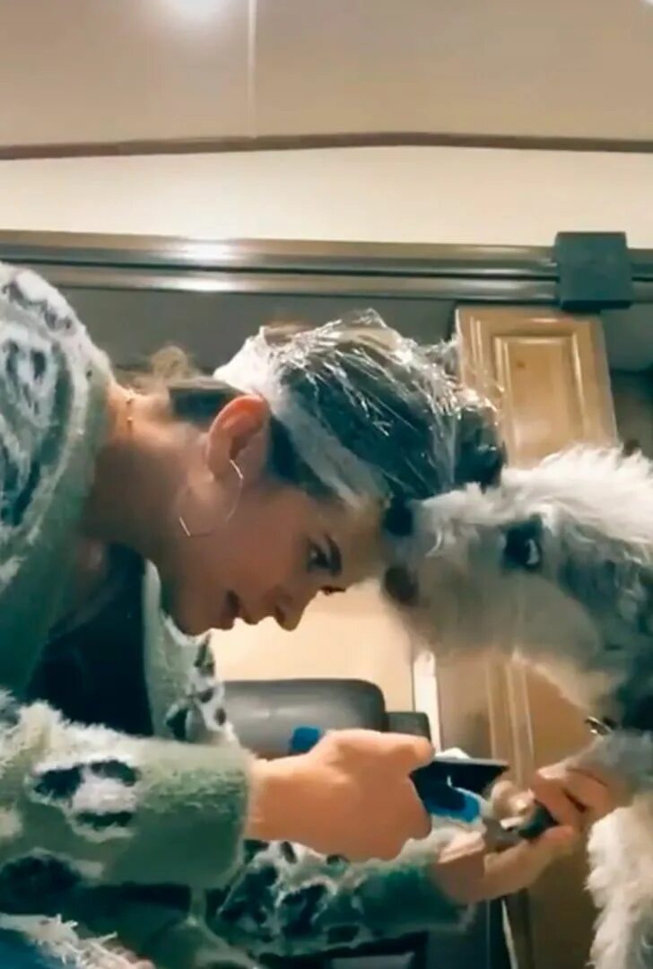 Девушка. Хозяин собаки. Девушка с щенком. Бездетная семья. Люди и животные.