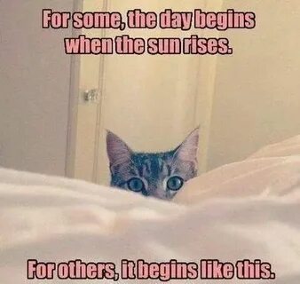 Begin like this