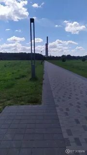 Большой тростенец