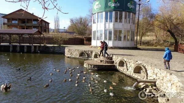 Родничок волгоград. Ресторан Родник Волгоград. Кафе Родник Волгоград на каче. Родник на каче Волгоград. Родничок кача Волгоград.