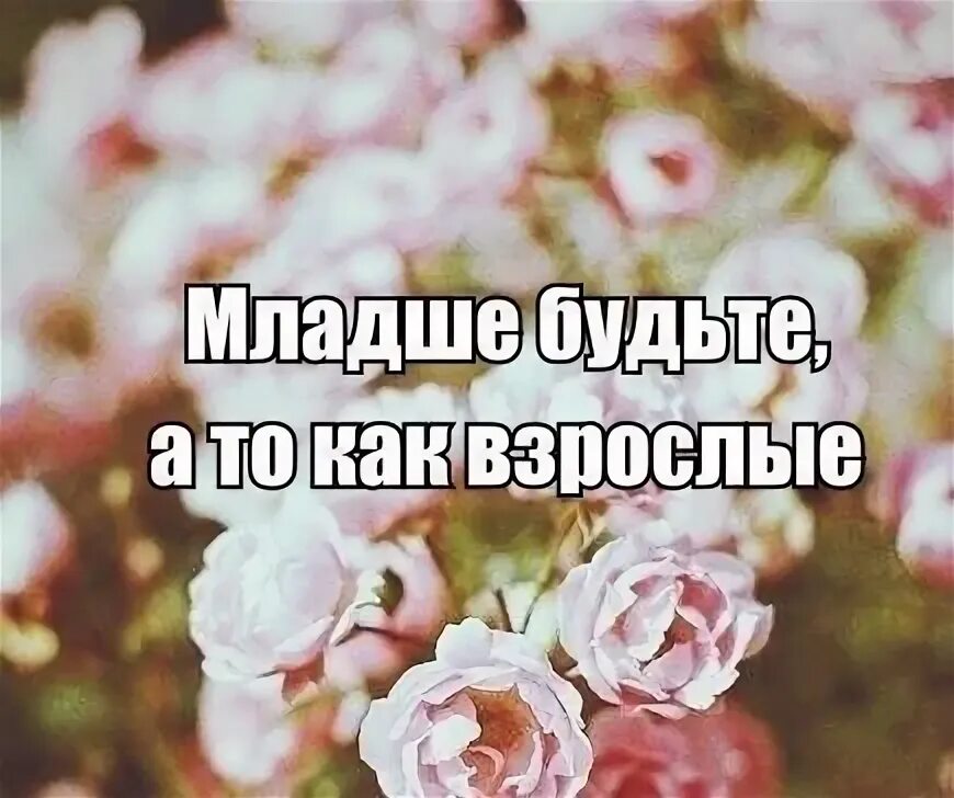 До момента пока не будет. До момента пока не будет. Иногда не осознаешь ценность момента пока. Цитаты про воспоминания и моменты. До момента пока не будет.