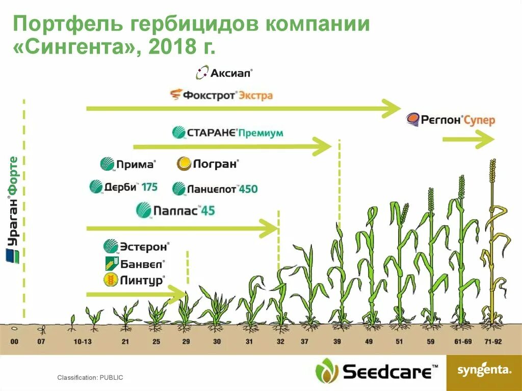 Гербициды по озимым. Система защиты озимой пшеницы Сингента. Схема защиты Яровой пшеницы. Схема защиты озимой пшеницы. Схема защиты ярового рапса август.