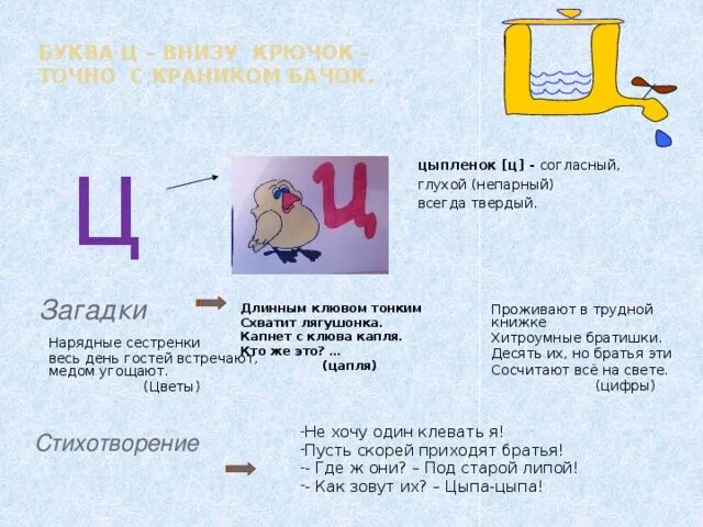 Прочитай стихи загадки г виеру. Стихотворение про букву ц. Загадка про букву ц. Интересные факты про букву ц. Проект буква ц.