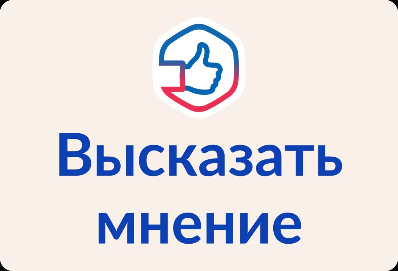 Высказать мнение. Высказать мнение