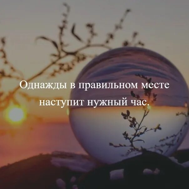 Случайный гость оказался слишком вовремя и в нужном месте