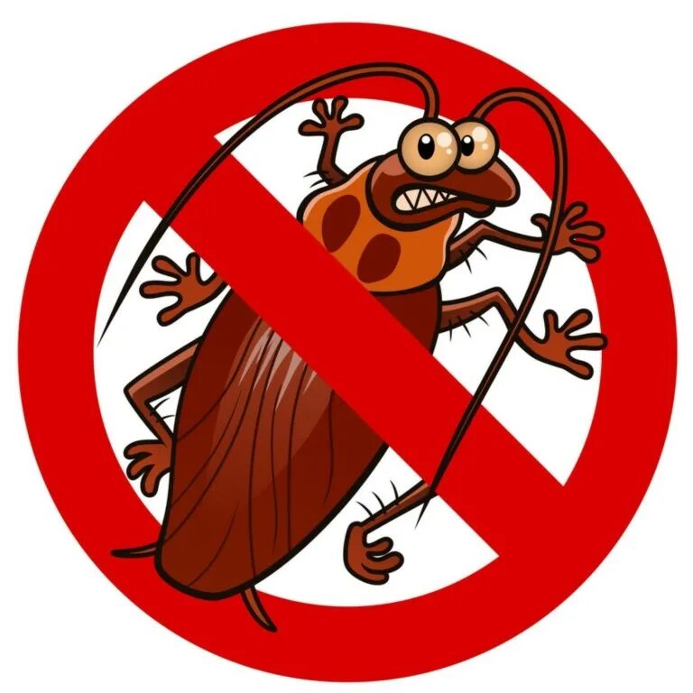 Травля насекомых. Тараканы клопы дезинсекция. Травля насекомых. Уничтожить насекомых. Уничтожение насекомых и грызунов.