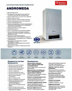 Газовый котел thermex