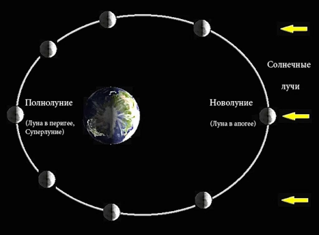 Оборот луны вокруг солнца. Орбита луны вокруг земли схема. траектория движения луны вокруг земли. траектория вращения луны вокруг земли. траектория вращения луны вокруг солнца.