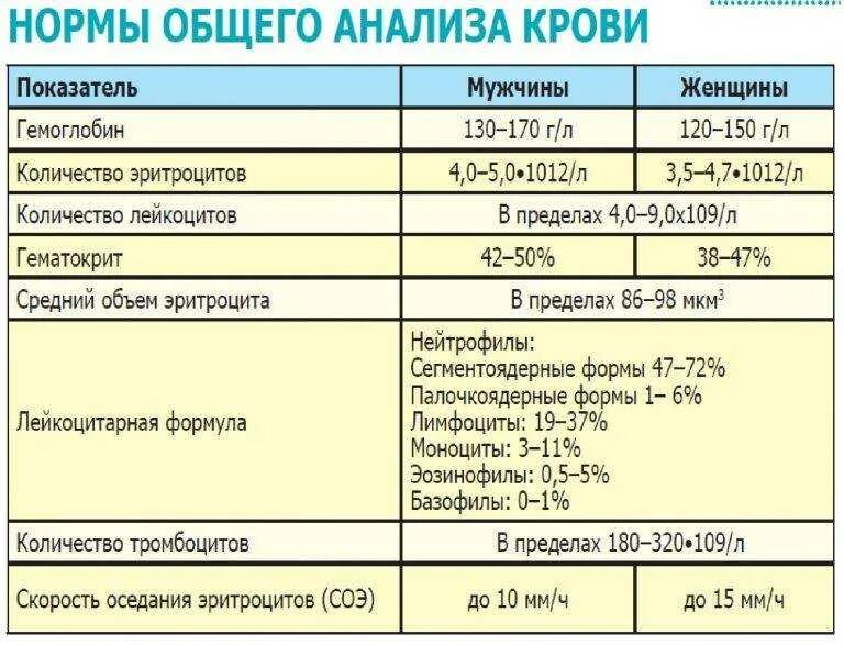Сколько лейкоцитов у мужчины