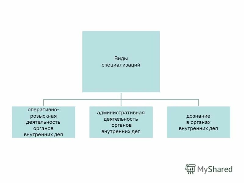 оперативно розыскная деятельность профессии. темы для презентаций фссп. оперативно розыскная деятельность профессии.