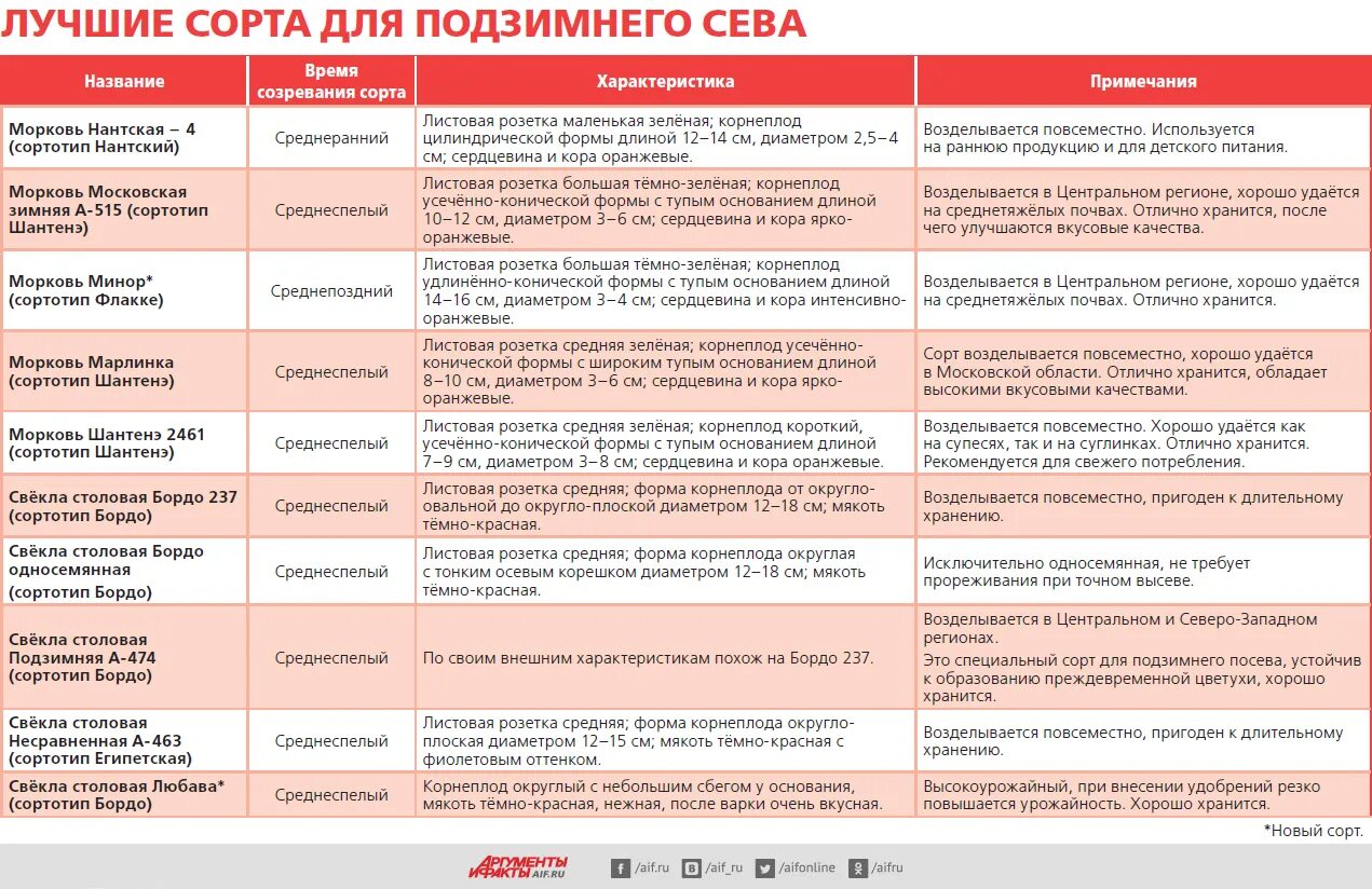 Когда в подмосковье сажают морковь и свеклу