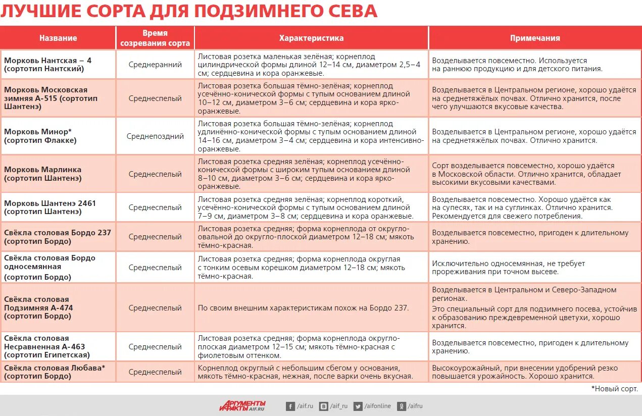 Морковь для подзимнего посева сорта. Подзимние сорта моркови. Подзимняя посадка моркови и свеклы. Сорта моркови таблица.